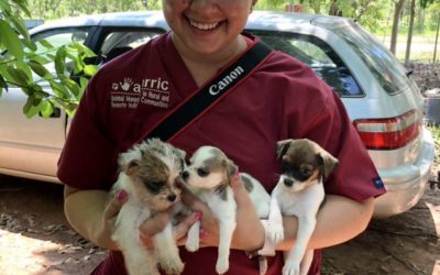 Darwin Town Communities receive vet services