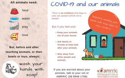 COVID-19 and our animals