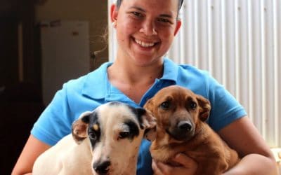 AMRRIC hosts internship focusing on cat population management