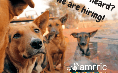 POSITION AVAILABLE: Fundraising and Corporate Partnerships Manager