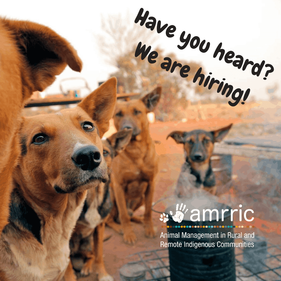 We are hiring! (1)