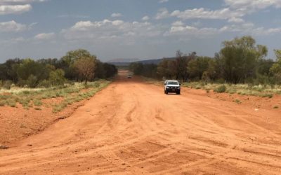 AMRRIC visits Kintore & Kiwirrkurra – meeting community companion animal needs through donation support