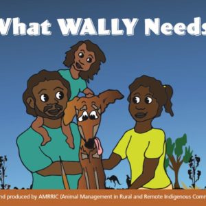 What Wally Needs