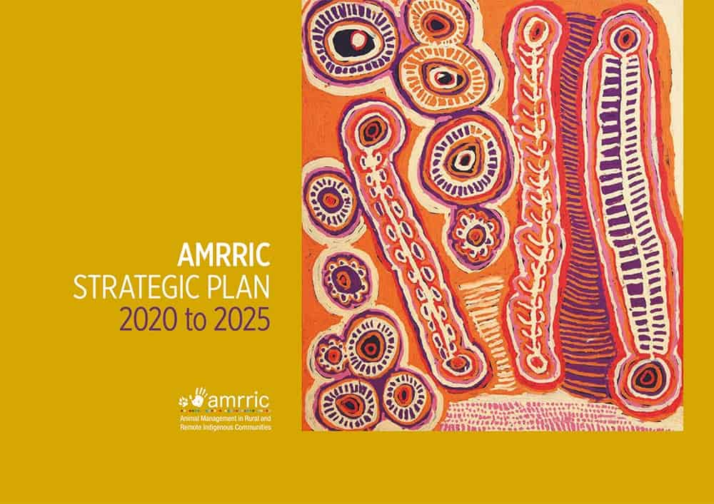 AMRRIC Strategic Plan 2020-2025
