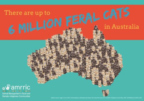 Cat Map Poster - AMRRIC