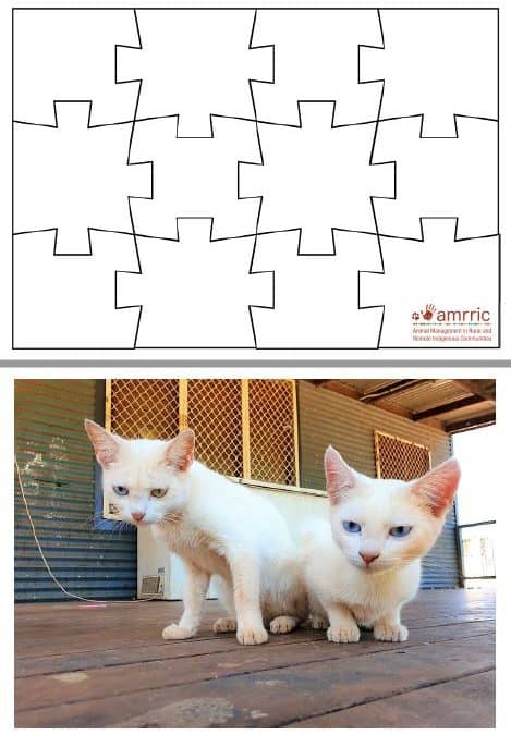 Dog and Cat Puzzles