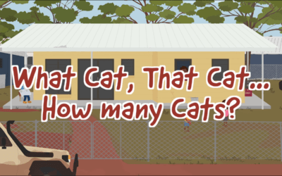 What Cat, That Cat….How Many Cats?