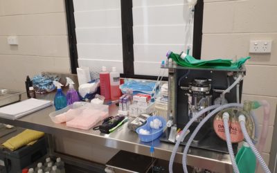 Working towards best practice in standards of care: updated veterinary equipment and protocols