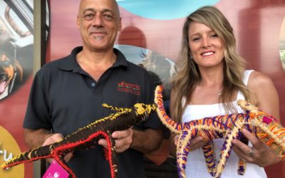 2020 AMRRIC AGM in Darwin