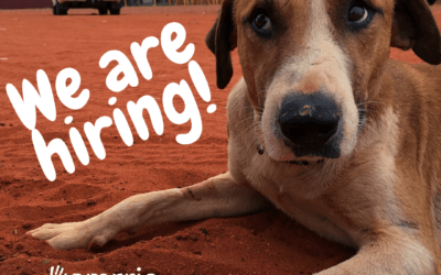 POSITION AVAILABLE: Office Manager, Darwin