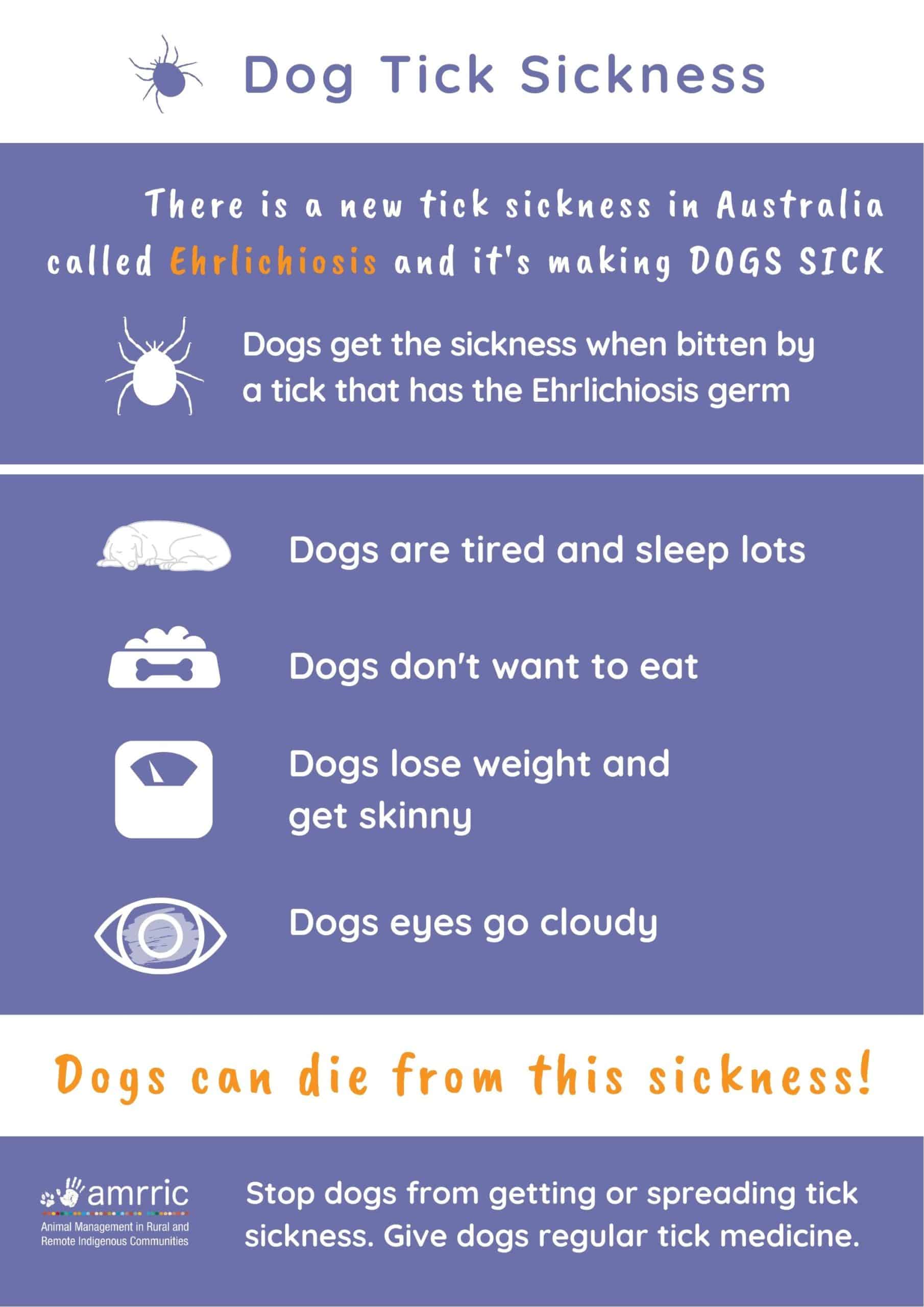 Dog Tick Sickness Ehrlichiosis Poster AMRRIC