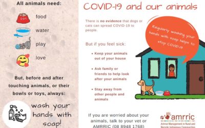 AMRRIC’s response to COVID-19