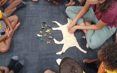 Expressions of Interest for AMRRIC Training Resource Development Review Panel