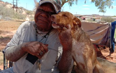 Census and Education Success in the MacDonnell Ranges