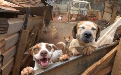 You put the smile on their faces