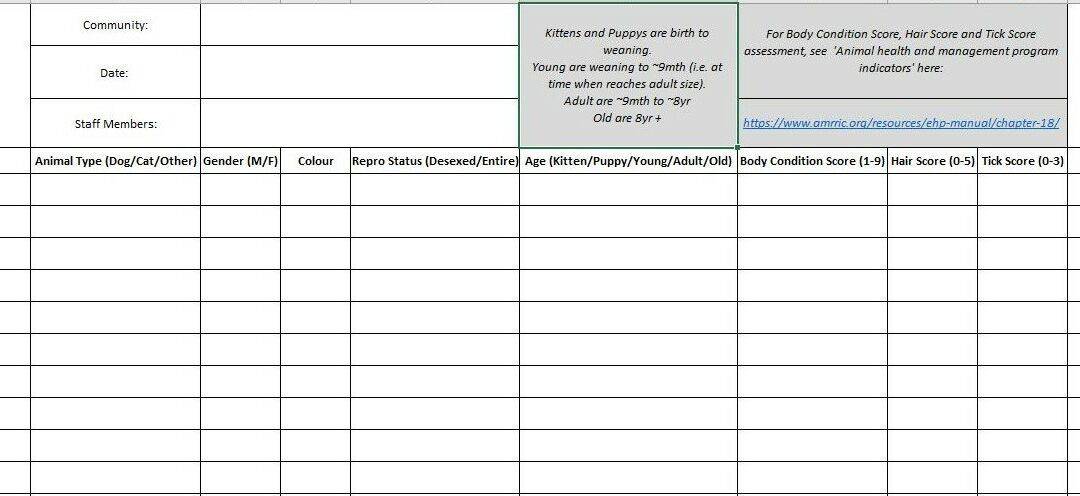 Census Data Template