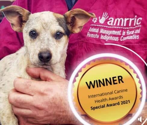 Winner: International Canine Health Awards Special Award 2021