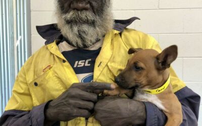 Fighting Parasites in Wadeye with Thamarrur Development Corporation