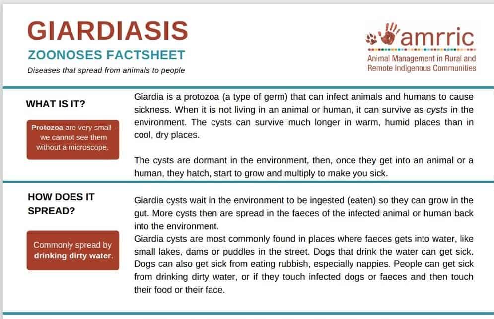 Giardia Zoonoses Fact Sheet AMRRIC