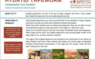 Hydatid Tapeworms – Zoonoses Fact Sheet