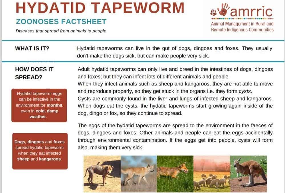 Hydatid Tapeworms – Zoonoses Fact Sheet