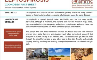 Leptospirosis – Zoonoses Fact Sheet