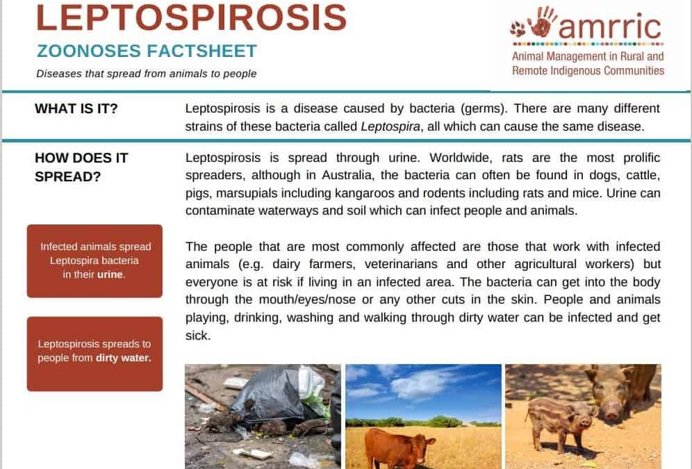 Leptospirosis - Zoonoses Fact Sheet - AMRRIC