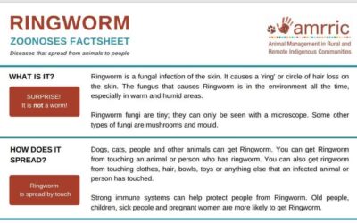 Ringworm – Zoonoses Fact Sheet