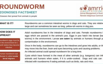 Roundworm – Zoonoses Fact Sheet