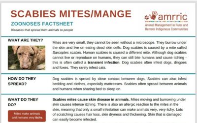 Scabies – Zoonoses Fact Sheet
