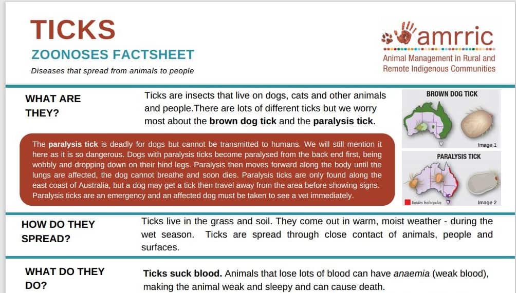 Ticks – Zoonoses Fact Sheet