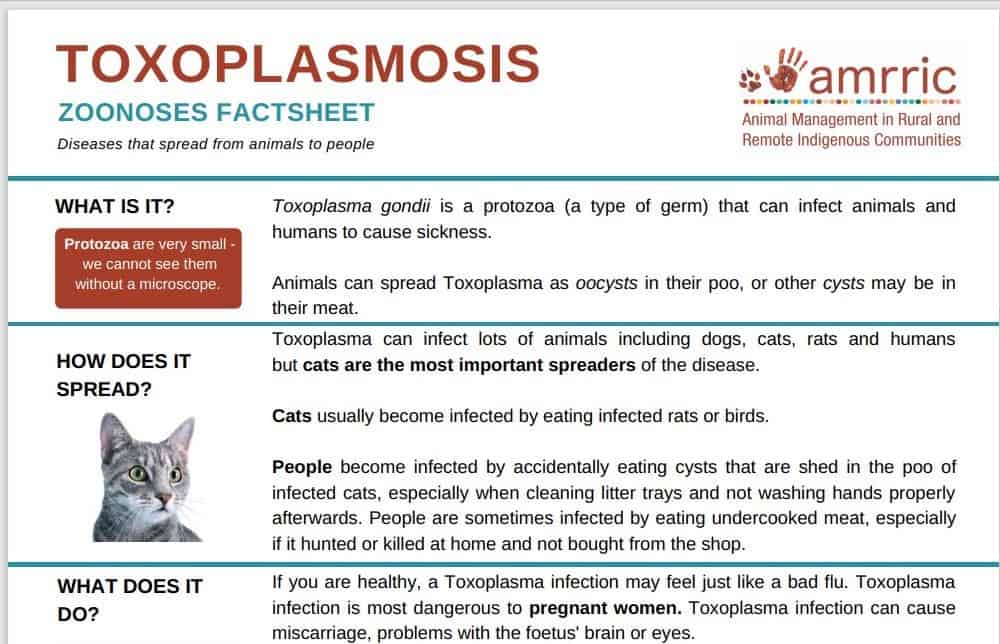 Toxoplasmosis - Zoonoses Fact Sheet - AMRRIC