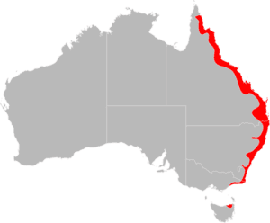 paralysis tick distribution