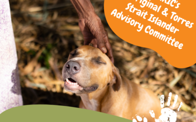 Vacancies: AMRRIC Aboriginal and Torres Strait Islander Advisory Committee