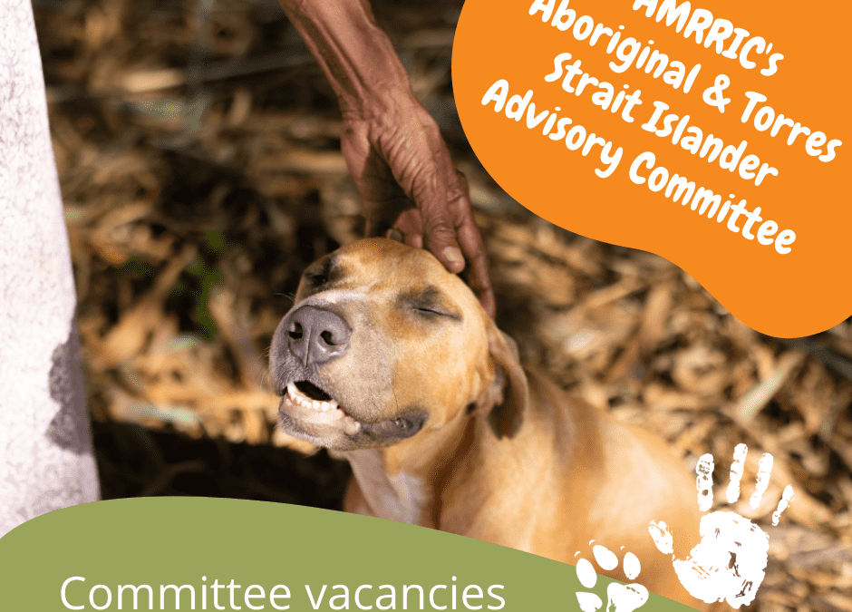Vacancies: AMRRIC Aboriginal and Torres Strait Islander Advisory Committee
