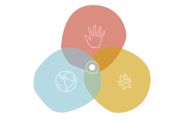 AMRRIC’s new 3 year project to catalyse and coordinate One Health focused research