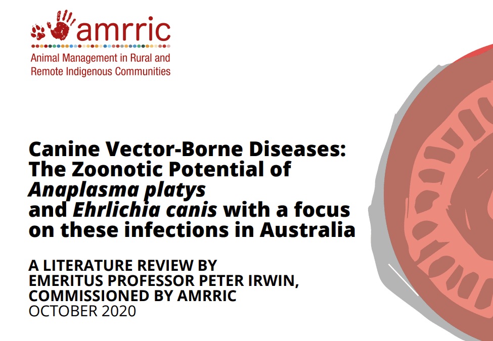 Canine Vector-Borne Diseases: The Zoonotic Potential of Anaplasma platys and Ehrlichia canis with a focus on these infections in Australia – a scientific literature review