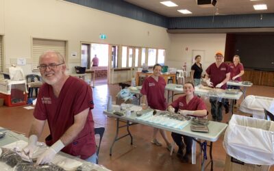 National Desexing Month is coming in July!