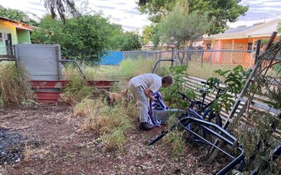 Curbing Cat Populations in Lajamanu – a Team Effort