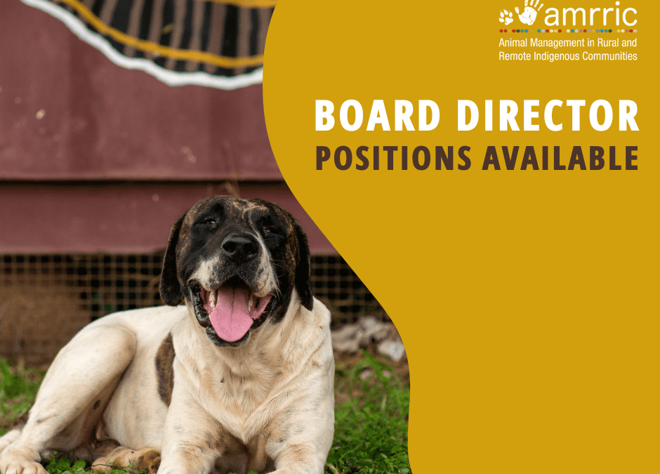 Recruiting: AMRRIC Board of Directors