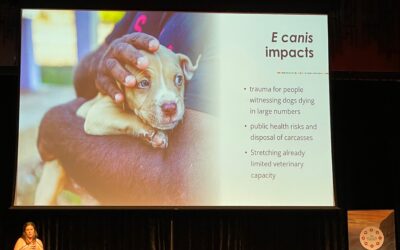 AMRRIC at the 2nd Australian Biosecurity Symposium