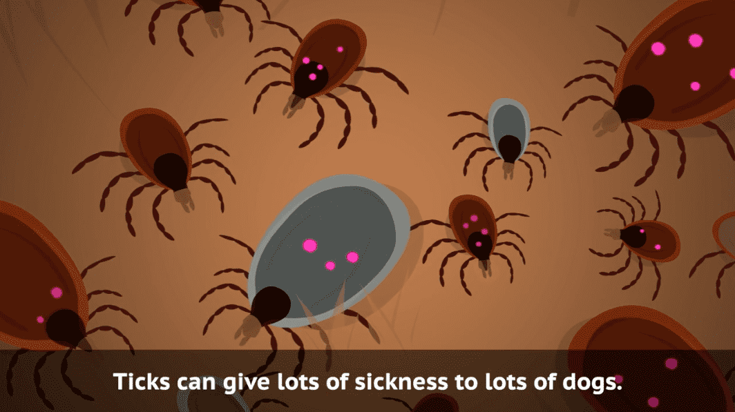Indigenous language versions of Ehrlichiosis animation now available on ICTV