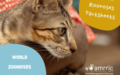 One Health for World Zoonoses Day
