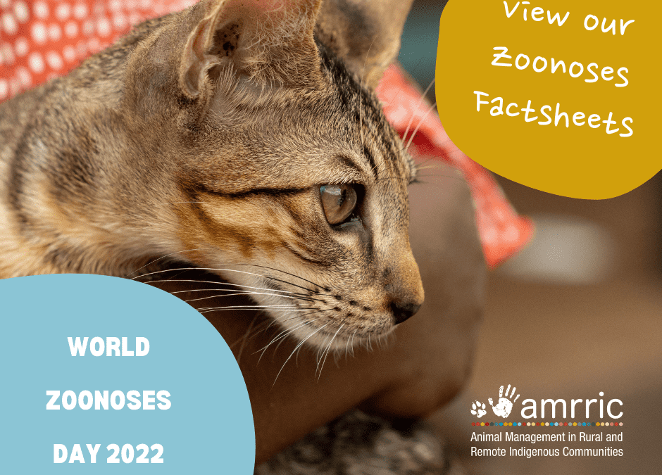 One Health for World Zoonoses Day