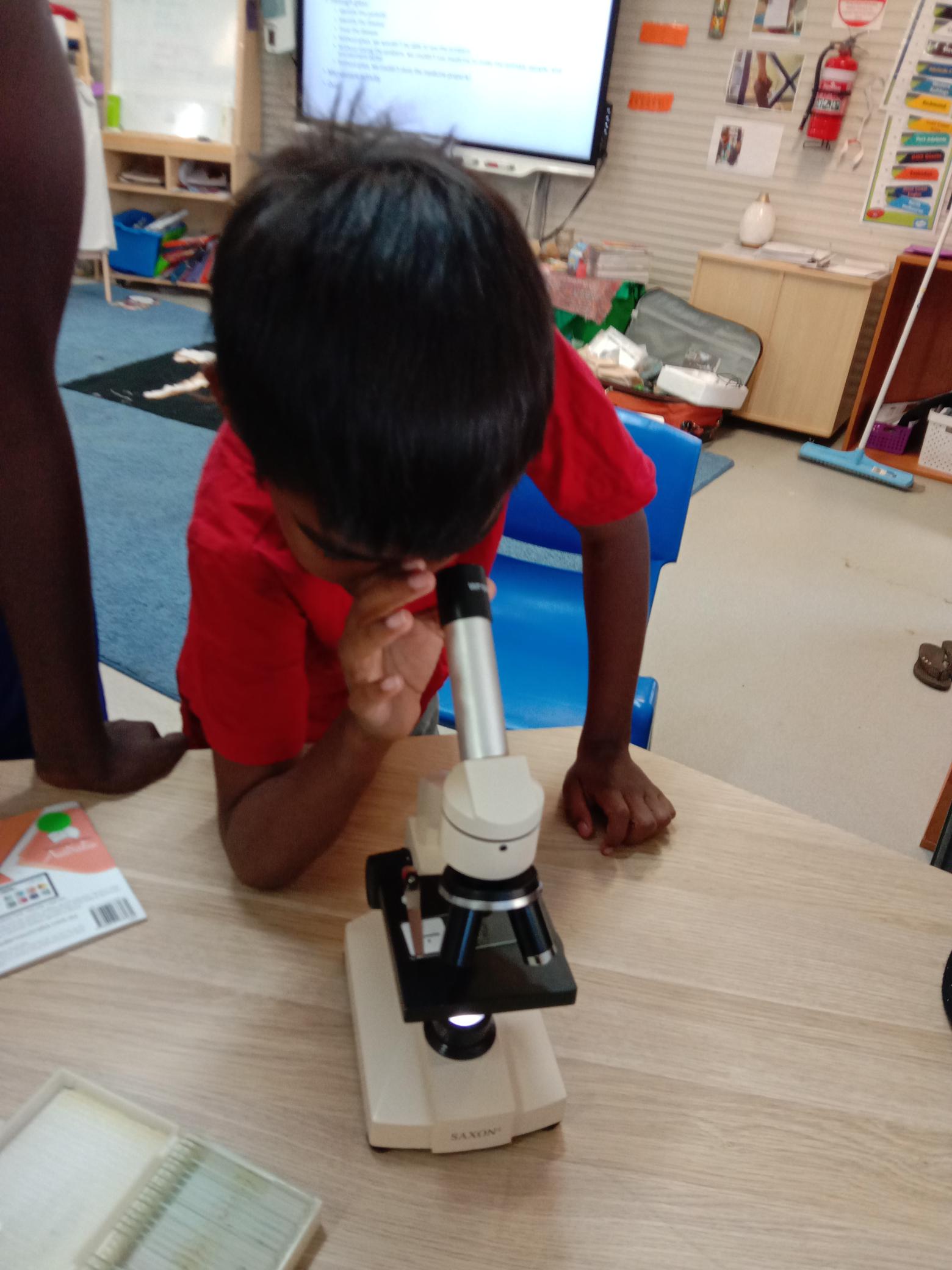 20220816 Nauiyu St Francis School Education Science Week Microscope 1