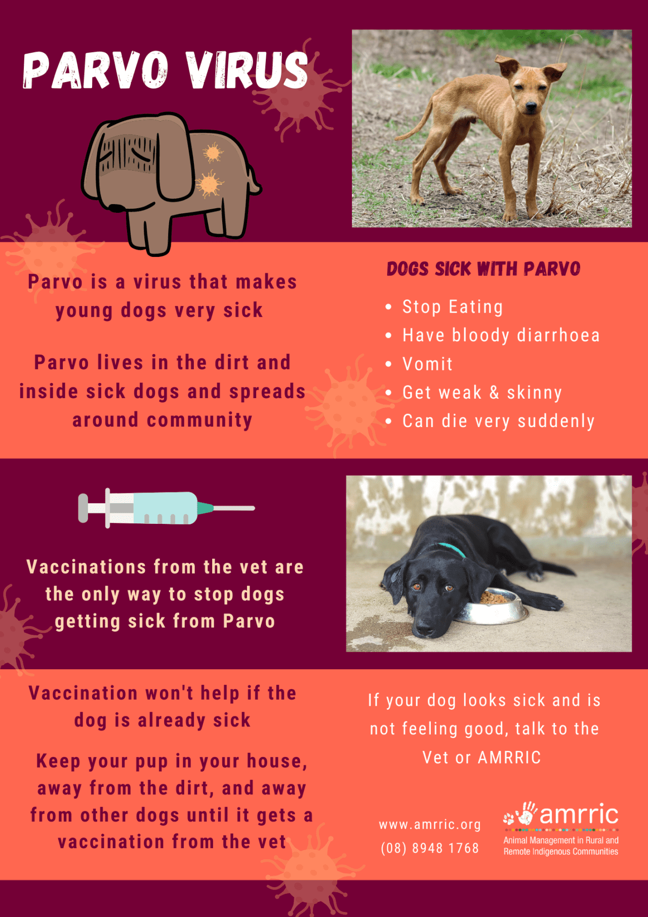 Debunking The Myth: Do Chickens Get Parvovirus? - ibdkmug