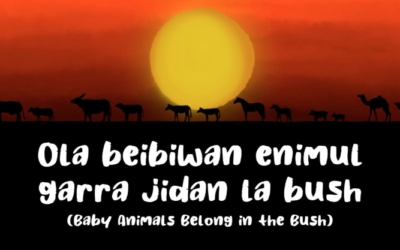 Exciting New Animation adds to Animal Education in Remote Communities