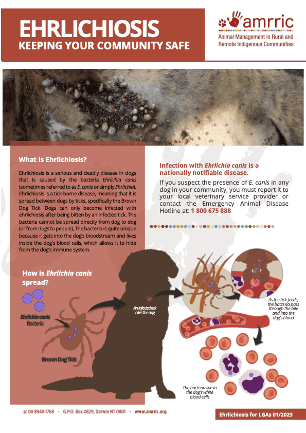 Ehrlichiosis guide for LGAs cover page