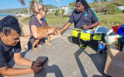 Year 1 wrap-up of AMRRIC’s Biosecurity Pilot Project (2021-2024)