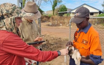 Preparing for emergencies – working together to collect companion animal population information